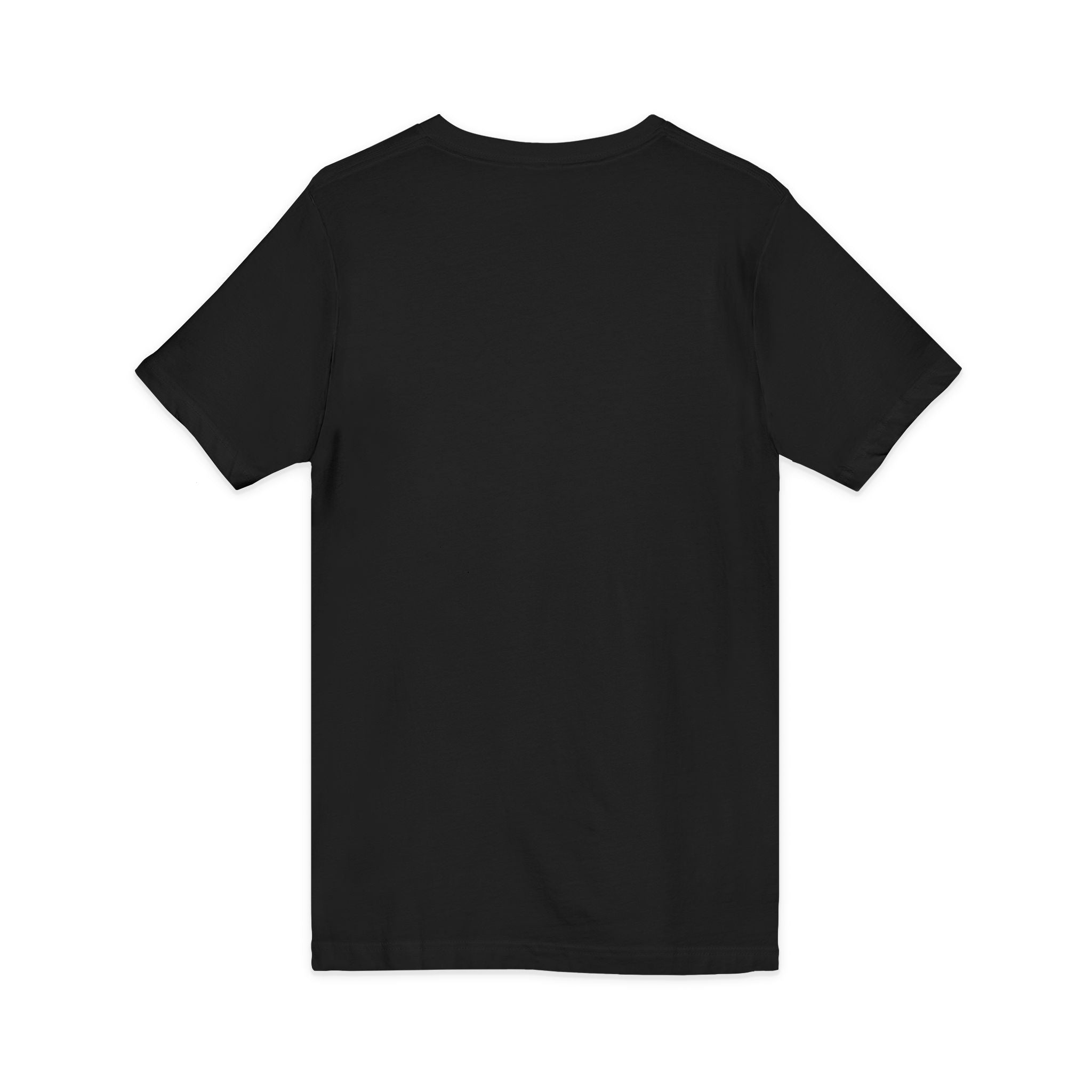 CLARTR Men’s  V-neck tee | vintage varsity text